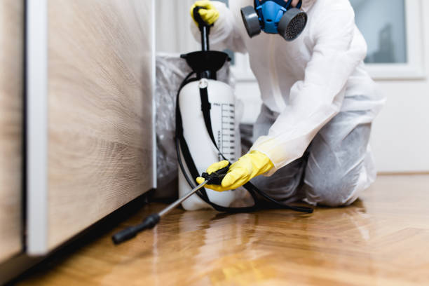 Best Pest Removal Services  in Prince Frederick, MD