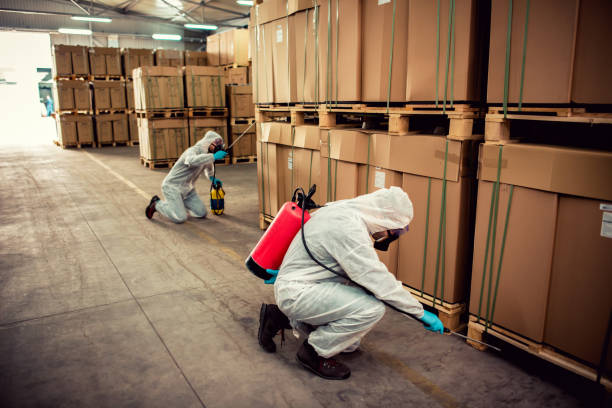 Best Best Pest Control Companies  in Prince Frederick, MD