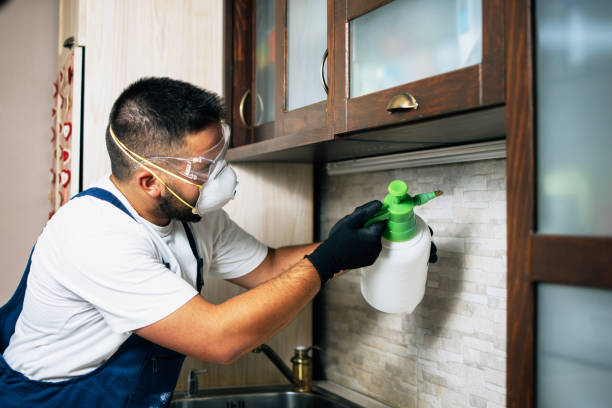 Best Best Pest Control Companies  in Prince Frederick, MD