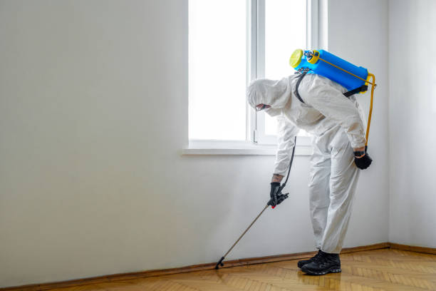 Best Mosquito Control Services  in Prince Frederick, MD