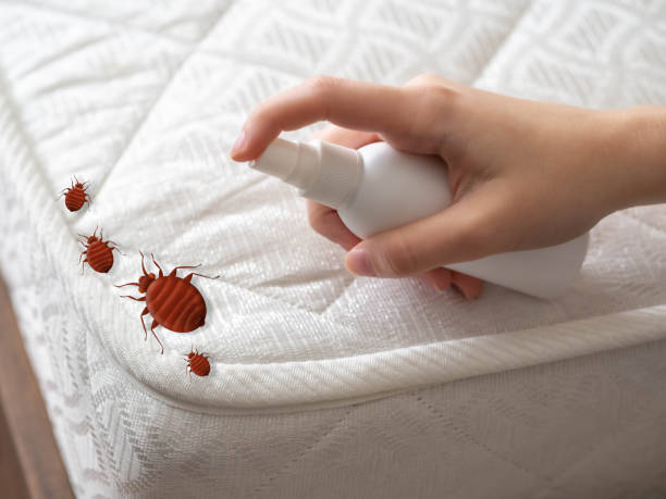  Prince Frederick, MD Pest Control Pros