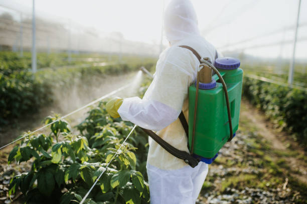 Best Emergency Pest Control  in Prince Frederick, MD